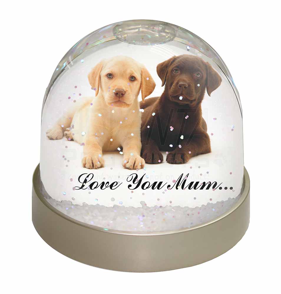 Advanta Group Fox Red Labrador Love You Dad Photo Snow Globe Waterball Stocking Filler Gift Multi-Colour 9.2 x 9.2 x 8 cm