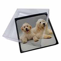 4x Labradoodle Dog Picture Table Coasters Set in Gift Box