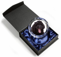 Black Labradoodle Dog Stunning Paperweight Gift New