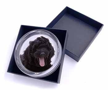 Black Labradoodle Dog Glass Paperweight in Gift Box