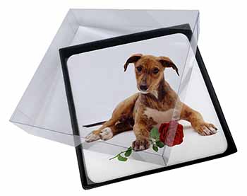4x Lurcher Dog with Red Rose Picture Table Coasters Set in Gift Box