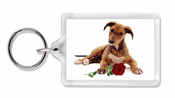 Lurcher Dog with Red Rose Photo Keyring printed full colour