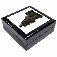 Pug Dog and Puppy Keepsake/Jewellery Box