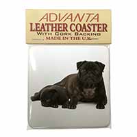 Pug Dog and Puppy Single Leather Photo Coaster