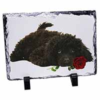 Miniature Poodle Dog with Red Rose, Stunning Photo Slate
