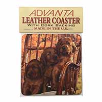 Irish Red Setter Puppy Dogs Single Leather Photo Coaster