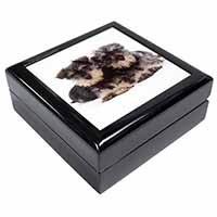 Miniature Schnauzer Dogs Keepsake/Jewellery Box