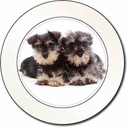 Miniature Schnauzer Dogs Car or Van Permit Holder/Tax Disc Holder