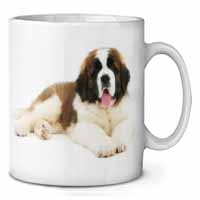 St Bernard Dog Ceramic 10oz Coffee Mug/Tea Cup