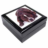 Staffordshire Bull Terrier Dog Keepsake/Jewellery Box