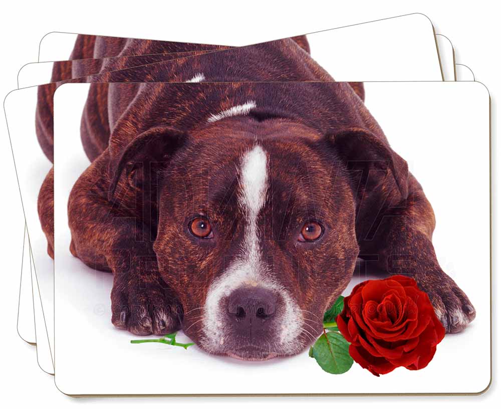 AD-SBT2RC 4x Brindle Staffie with Rose Picture Table Coasters Set in Gift Box 