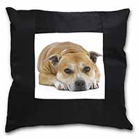 Red Staffordshire Bull Terrier Dog Black Satin Feel Scatter Cushion