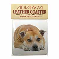 Red Staffordshire Bull Terrier Dog Single Leather Photo Coaster