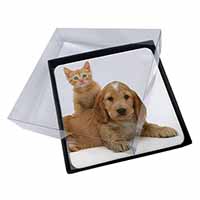 4x Cocker Spaniel and Kitten Love Picture Table Coasters Set in Gift Box