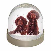 Chocolate Cocker Spaniel Dogs Snow Globe Photo Waterball