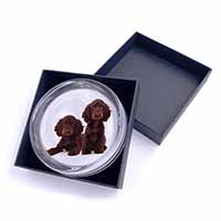 Chocolate Cocker Spaniel Dogs Glass Paperweight in Gift Box