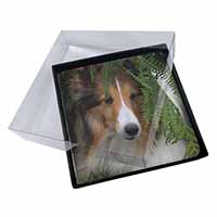 4x Shetland Sheepdog Picture Table Coasters Set in Gift Box