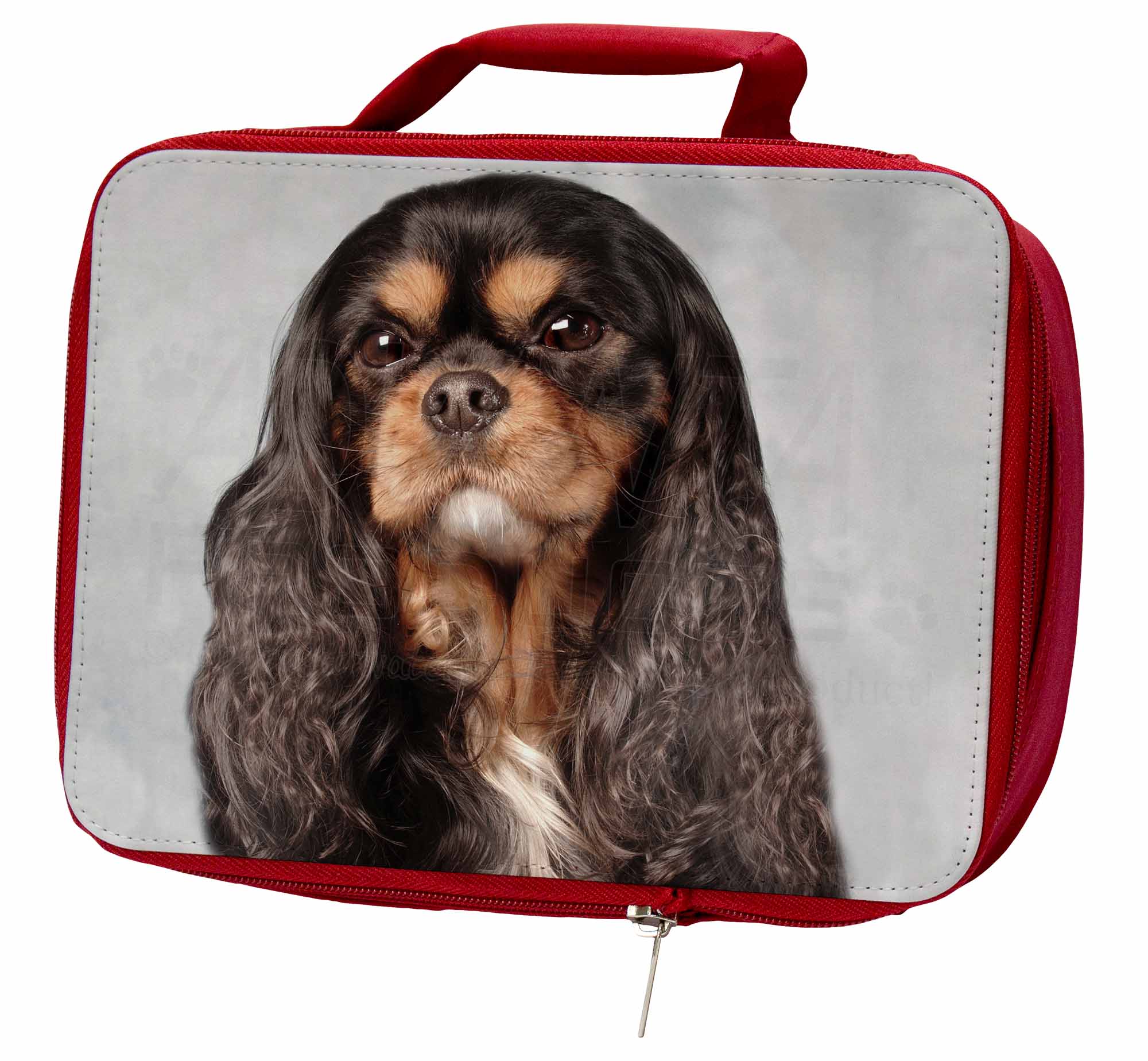 Black and Tan King Charles Spaniel Insulated Red School Lunch Box//Pi AD-SKC2LBR