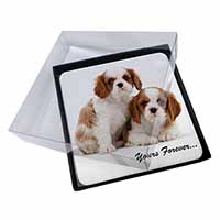 4x Blenheim King Charles Spaniels Picture Table Coasters Set in Gift Box