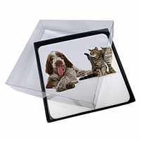 4x Italian Spinone Dog and Kittens Picture Table Coasters Set in Gift Box