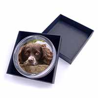 Springer Spaniel Dog Glass Paperweight in Gift Box