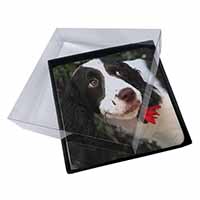4x Springer Spaniel Dog and Flower Picture Table Coasters Set in Gift Box