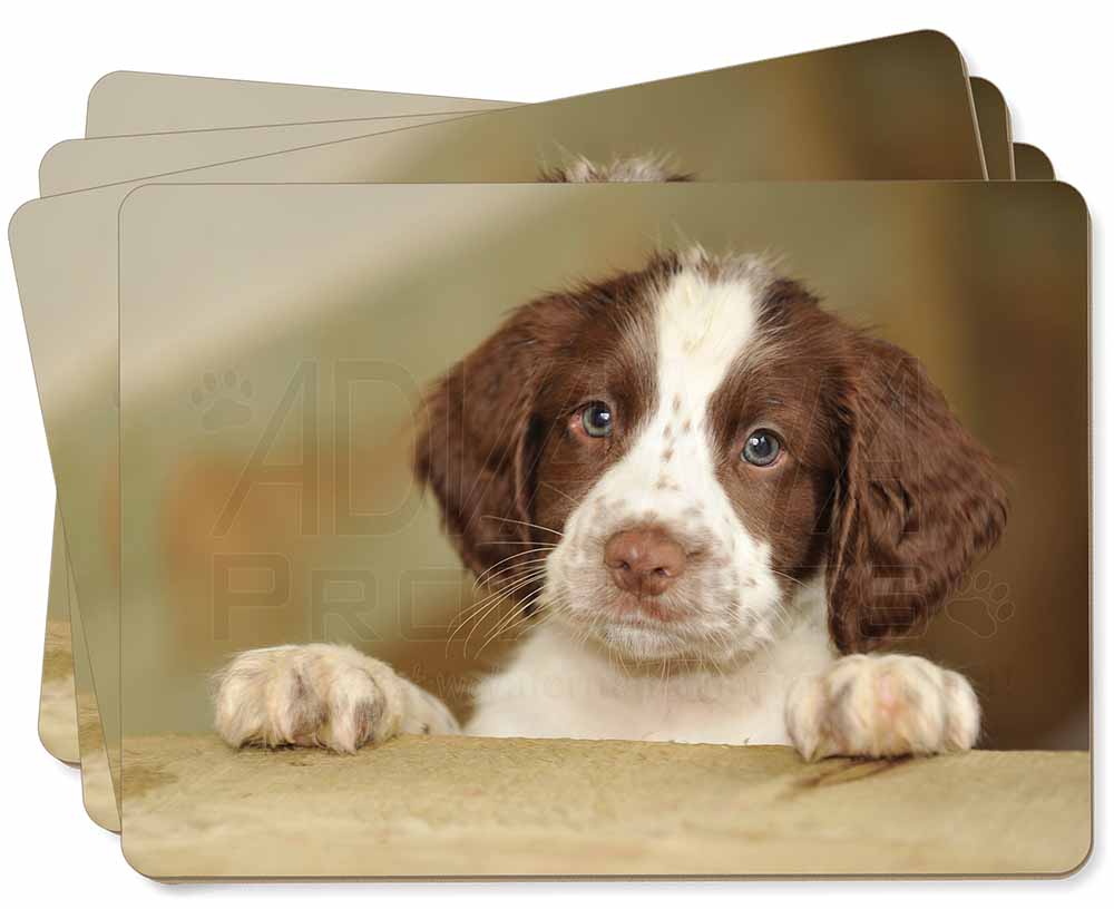 AD-SS3P Springer Spaniel Dogs Picture Placemats in Gift Box
