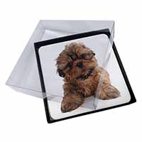 4x Shih-Tzu Dog Picture Table Coasters Set in Gift Box