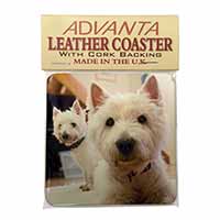 West Highland Terrier Dogs Single Leather Photo Coaster