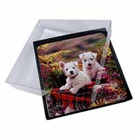 4x West Highland Terriers Picture Table Coasters Set in Gift Box