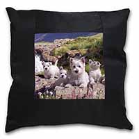 West Highland Terrier Dogs Black Satin Feel Scatter Cushion
