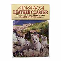 West Highland Terrier Dogs Single Leather Photo Coaster