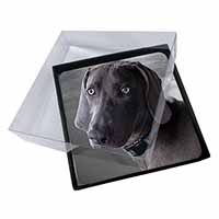 4x Weimaraner Dog  Picture Table Coasters Set in Gift Box