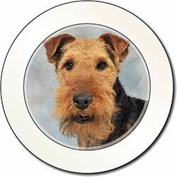 Welsh Terrier Dog Car or Van Permit Holder/Tax Disc Holder