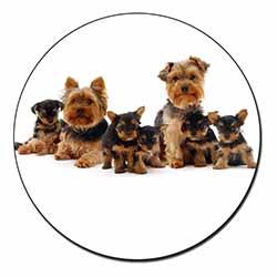 Yorkshire Terrier Dogs Fridge Magnet Printed Full Colour