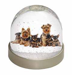 Yorkshire Terrier Dogs Snow Globe Photo Waterball