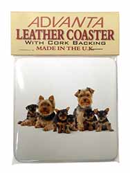 Yorkshire Terrier Dogs Single Leather Photo Coaster
