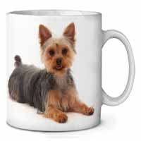 Yorkshire Terrier Dog Ceramic 10oz Coffee Mug/Tea Cup