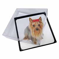 4x Yorkshire Terrier Dog Picture Table Coasters Set in Gift Box