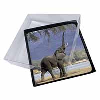 4x Baby Tuskers Elephant Picture Table Coasters Set in Gift Box