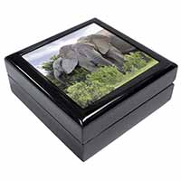 African Elephants Keepsake/Jewellery Box