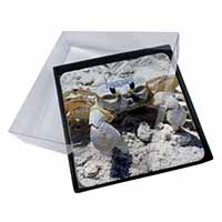 4x Crab on Sand Picture Table Coasters Set in Gift Box
