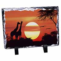 Sunset Giraffes, Stunning Photo Slate