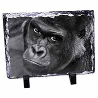 Gorilla, Stunning Photo Slate