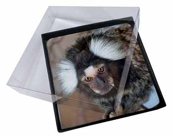 4x Marmoset Monkey Picture Table Coasters Set in Gift Box