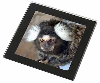 Marmoset Monkey Black Rim High Quality Glass Coaster