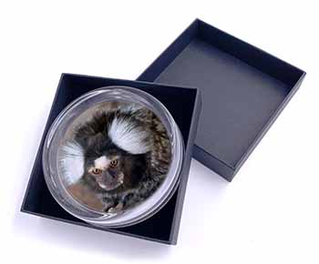 Marmoset Monkey Glass Paperweight in Gift Box