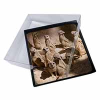 4x Meerkats Picture Table Coasters Set in Gift Box