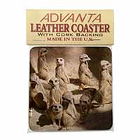 Meerkats Single Leather Photo Coaster
