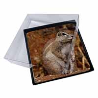 4x Chipmumks Picture Table Coasters Set in Gift Box